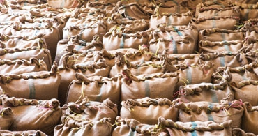 Foodstuff Supply